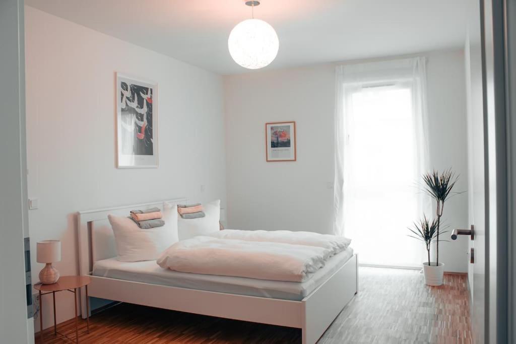 دريسدن Modern 2 R-Apartment/Netflix/Fitness/Billiard المظهر الخارجي الصورة